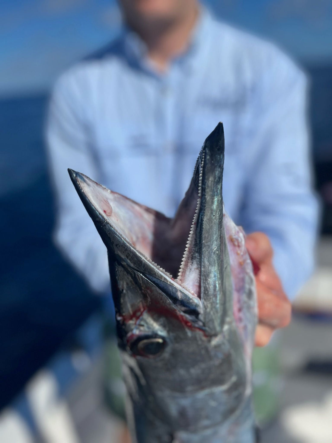 January Fishing Report